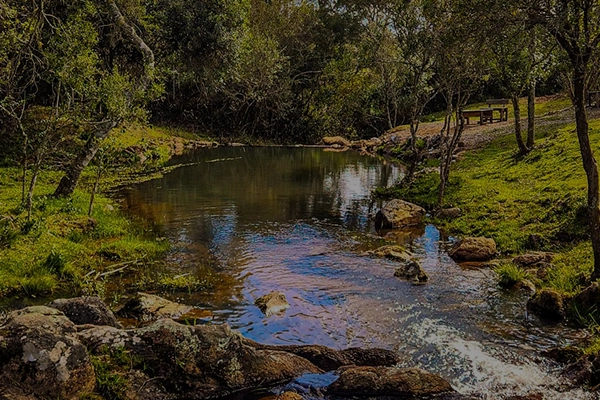 Experiencia Express - Visita rápida al Círculo de Paz