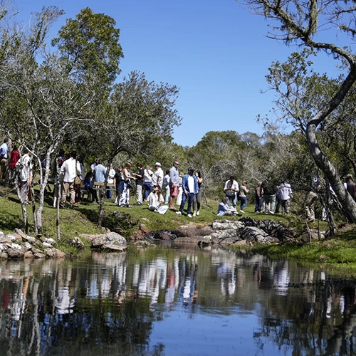 Vista del mandala interreligioso Círculo de Paz en Sierras de Minas